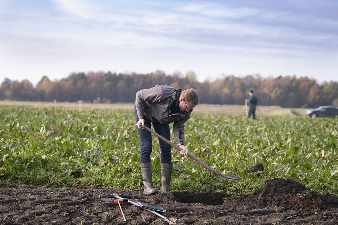 Bodemkundige Everhard van Essen maakt een profielkuil tijdens een demonstratie over de bodemverdichting. "De wortels vertellen het verhaal." - Foto: Mark Pasveer