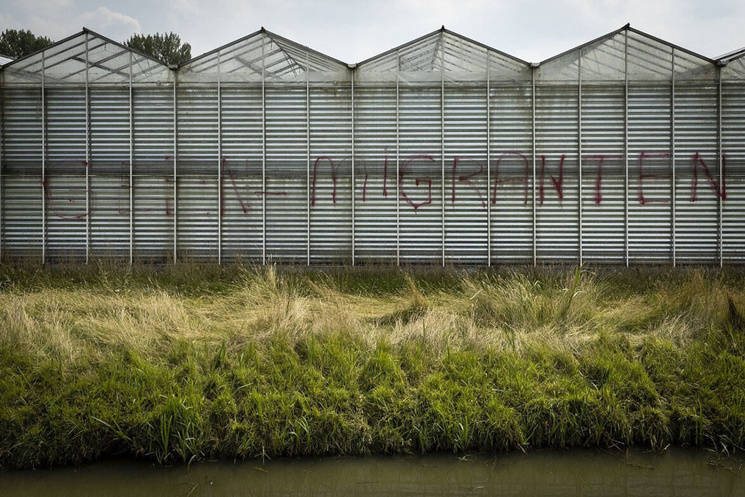 Veel verouderde kassen in Westland. Foto: ANP / Hollandse Hoogte /Laurens van Putten