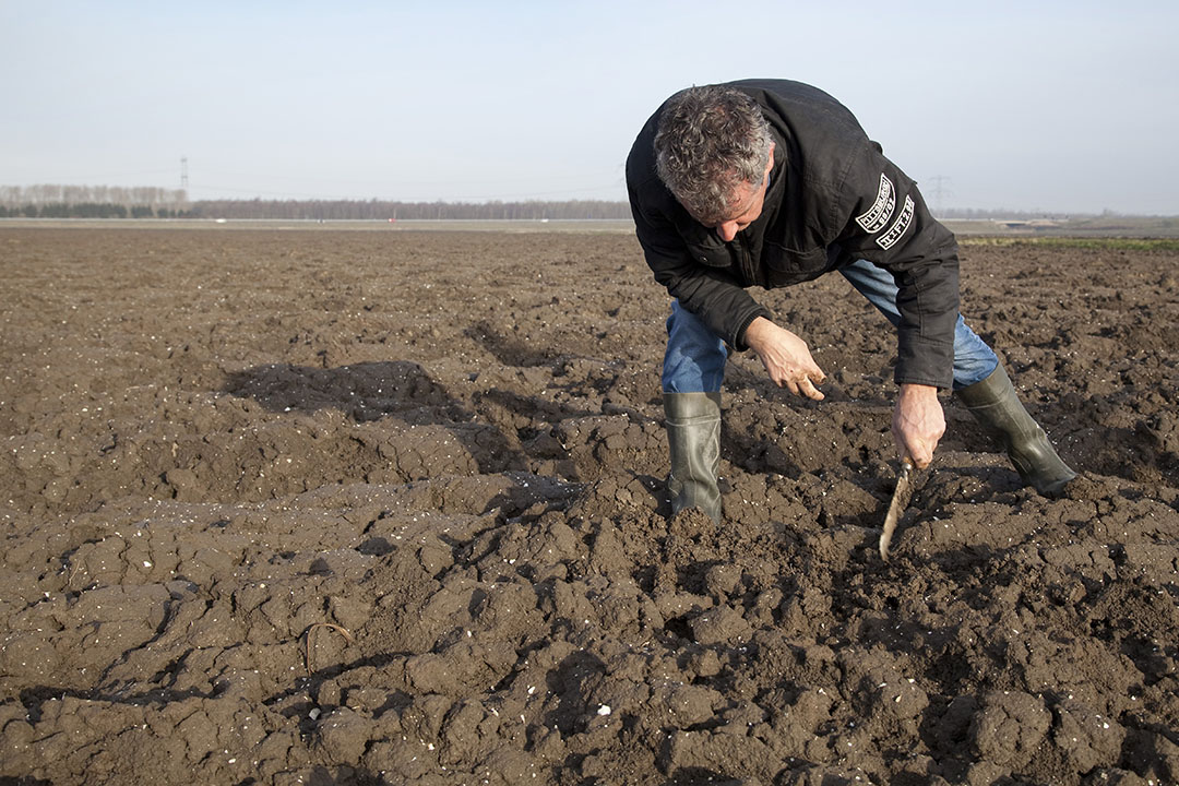 Foto: Jan Willem Schouten