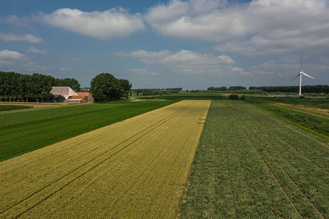 'WUR kwam met meest concrete definitie van kringlooplandbouw.' - Foto: Peter Roek