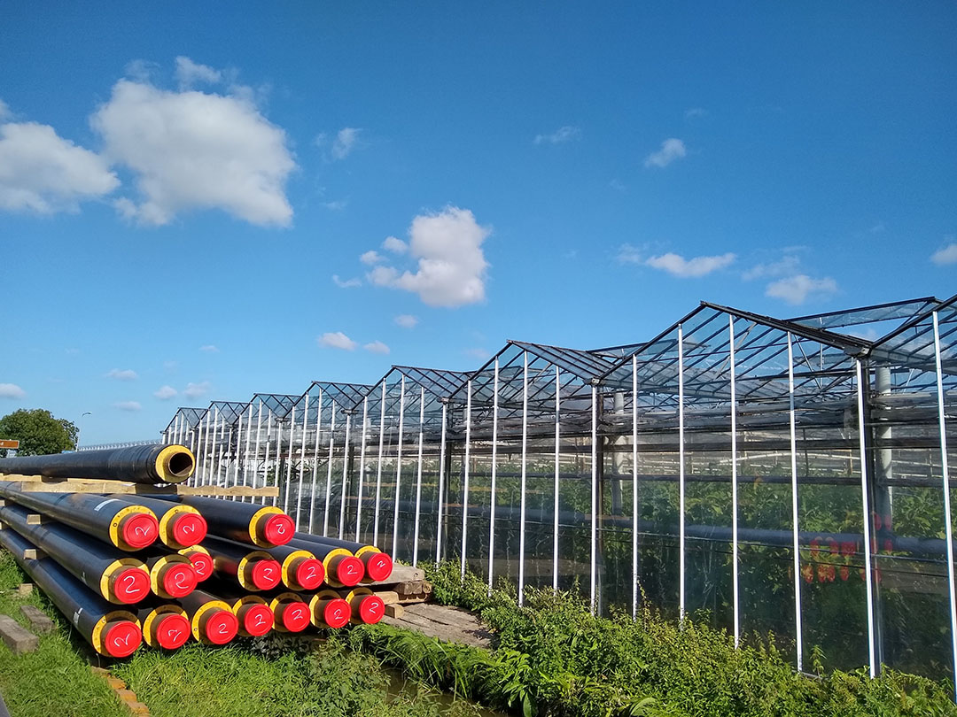 Aanleg warmtenet voor distributie aardwarmte. Foto: Groenten&Fruit