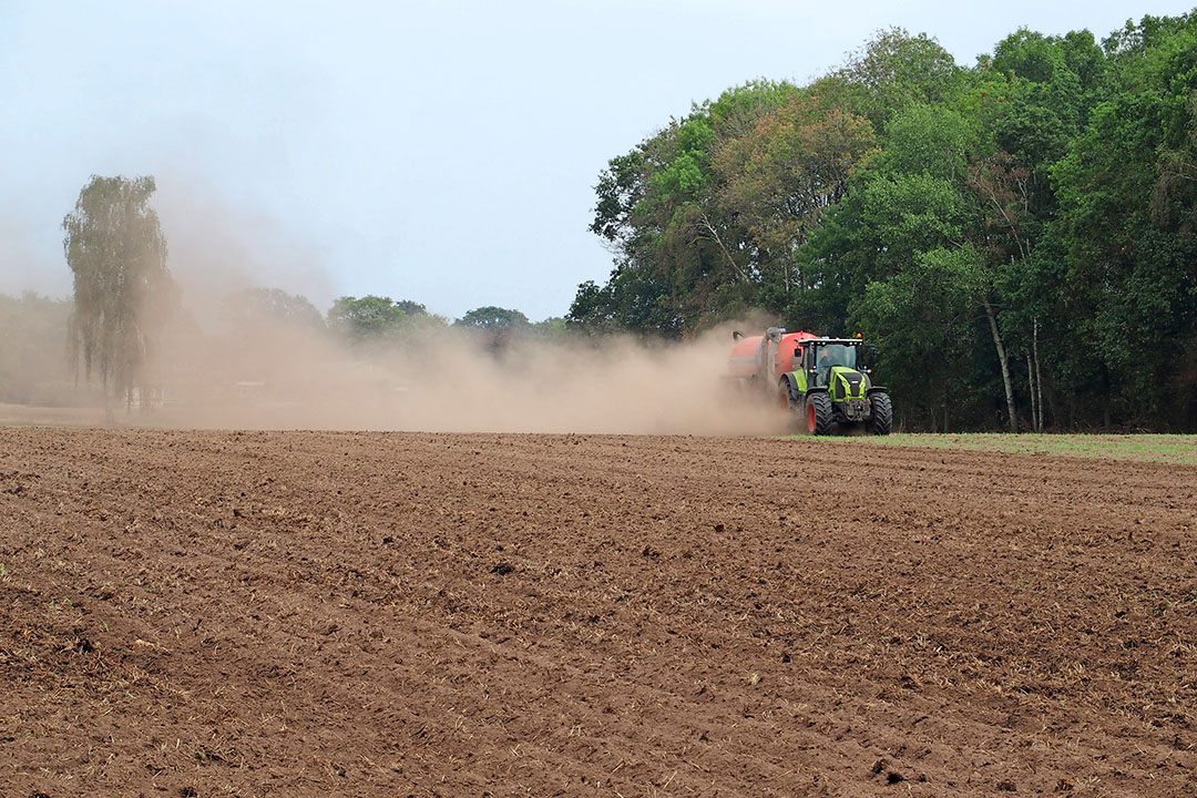 Mest injecteren op stoppelland. - Foto: Stan Verstegen