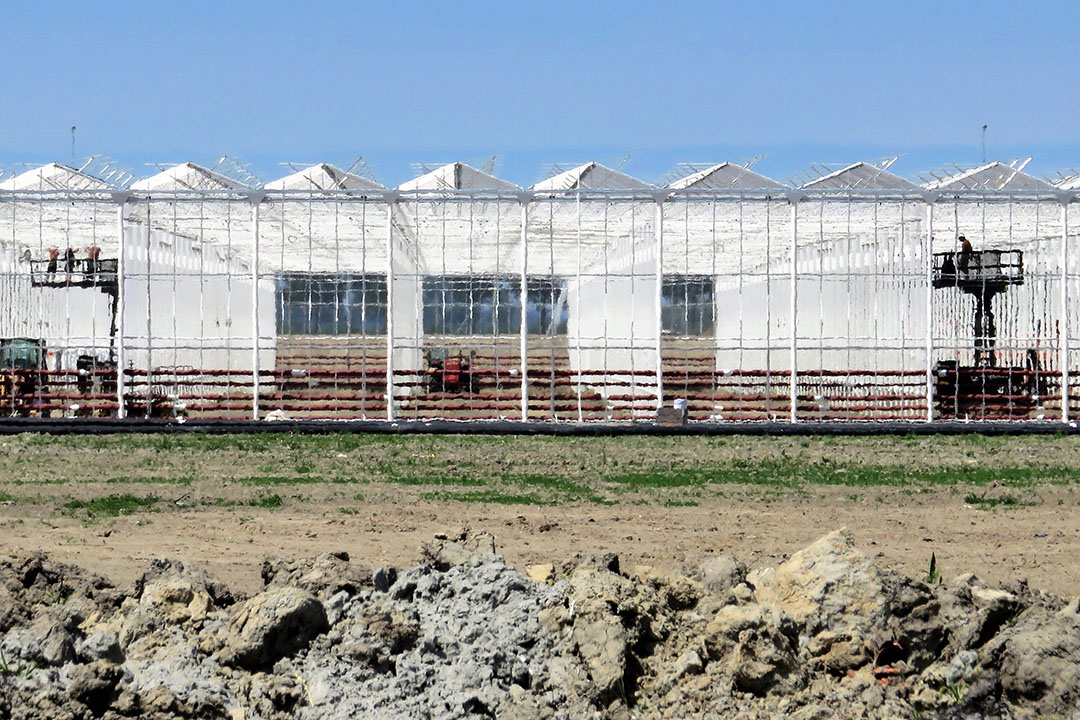 Glastuinbouwprojecten worden groter, wat een consolidatieslag veroorzaakt bij tuinbouwtechniekbedrijven. - foto: Ton van der Scheer