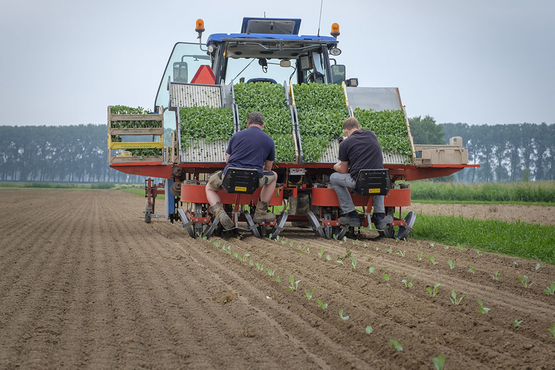 Foto: Roel Dijkstra