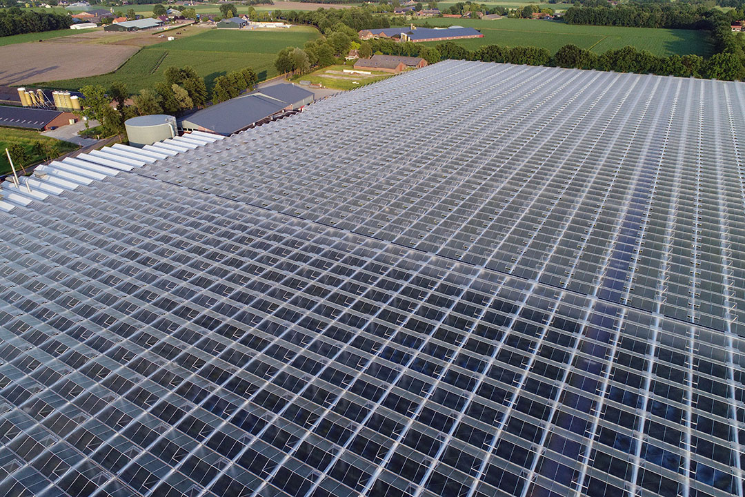 Investeerders kijken gretig naar het wereldwijde verdienvermogen van glastuinbouw. - Foto: Bert Jansen