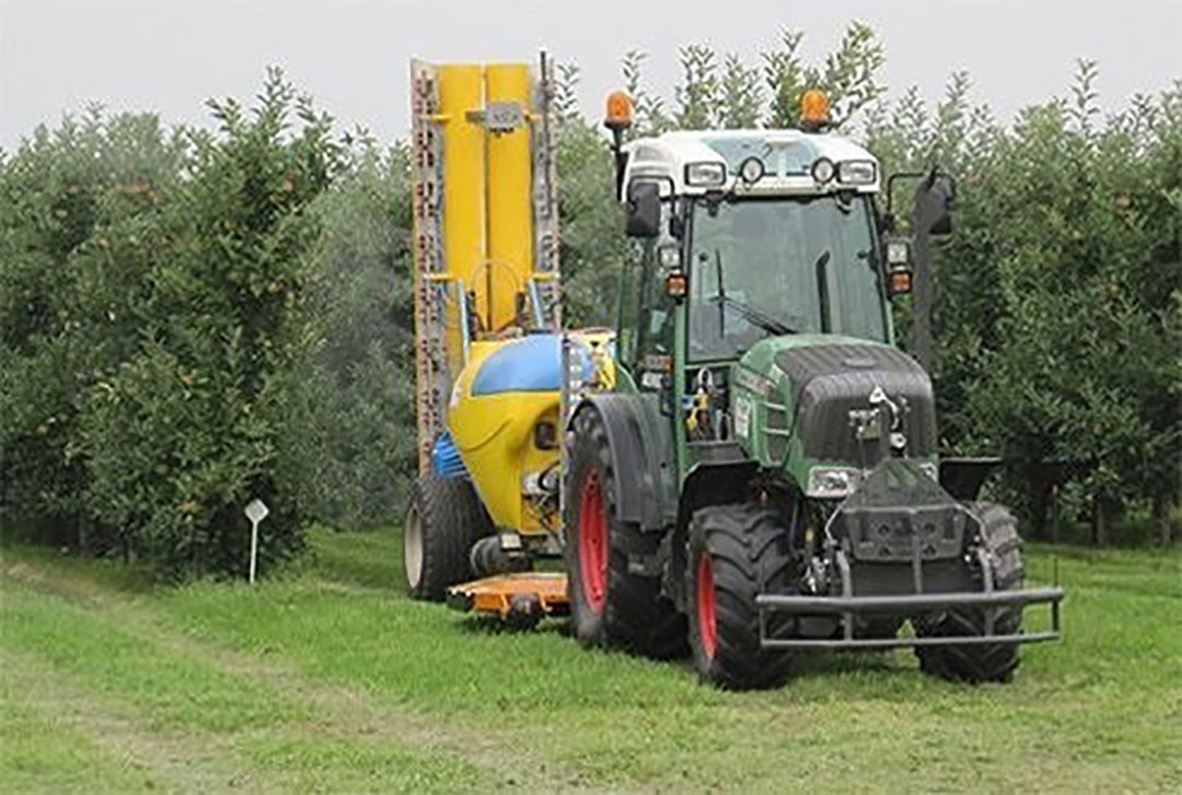 Foto: Groenten&Fruit