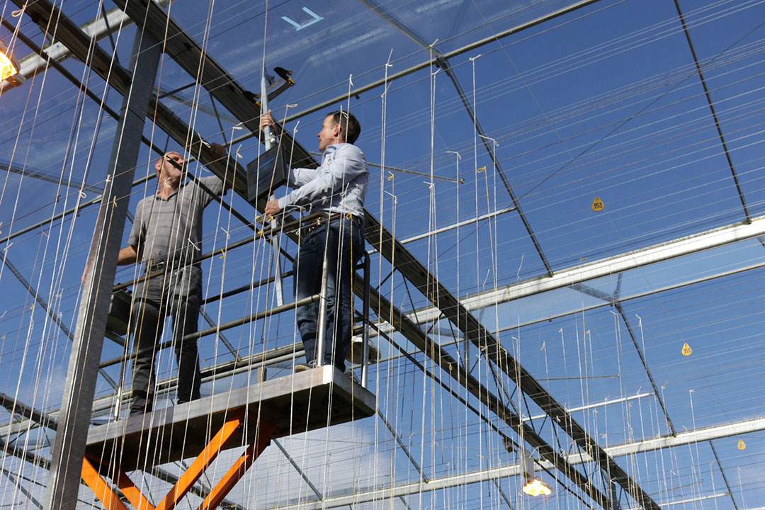 Lichtmetingen aan coating bij Mardenkro, onderdeel van de Smartcoat Group van Horticoop. - Foto: Mardenkro