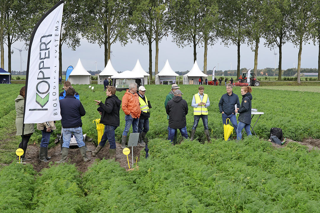 Kleine groepjes worden over het proevenplatform geleid. - Foto: Ruud Ploeg