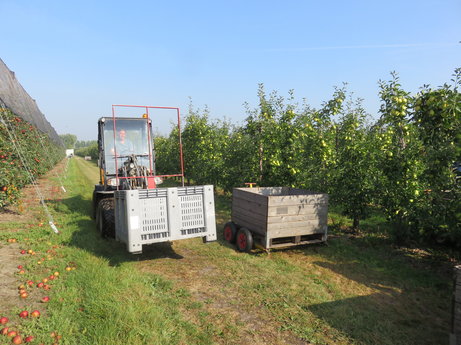 De economische omstandigheden maken fruittelers somber.