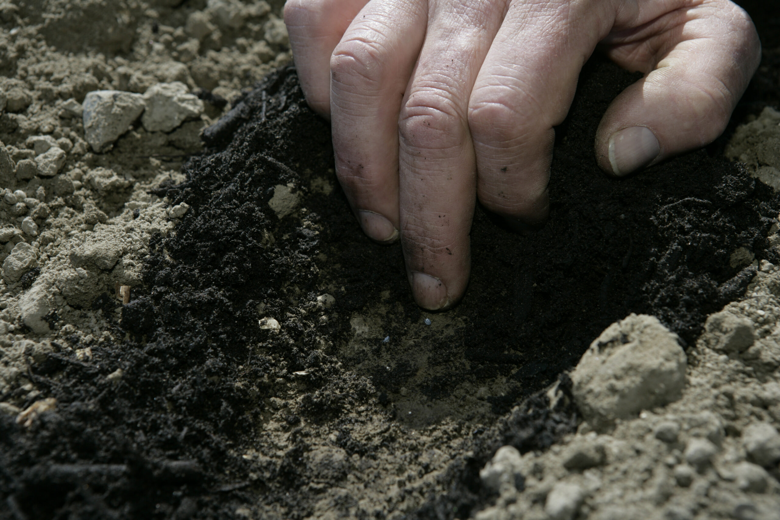 Foto: jan Willem Schouten