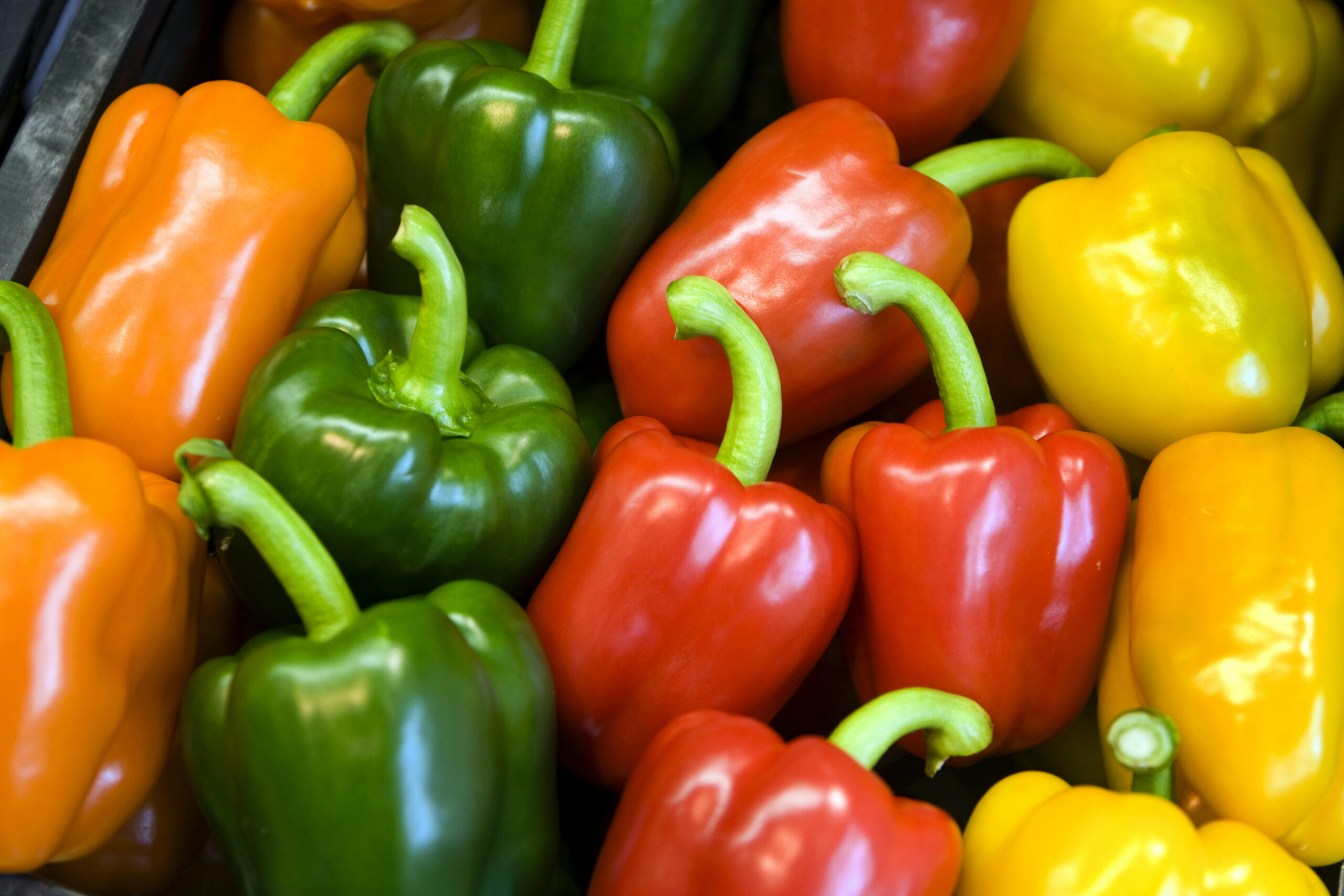 2009-04-28 14:35:42 SANTPOORT - Verschillende kleuren paprika bij groentewinkel Primeurshop Bol, voor groenten en fruit, in Santpoort. ANP XTRA KOEN SUYK