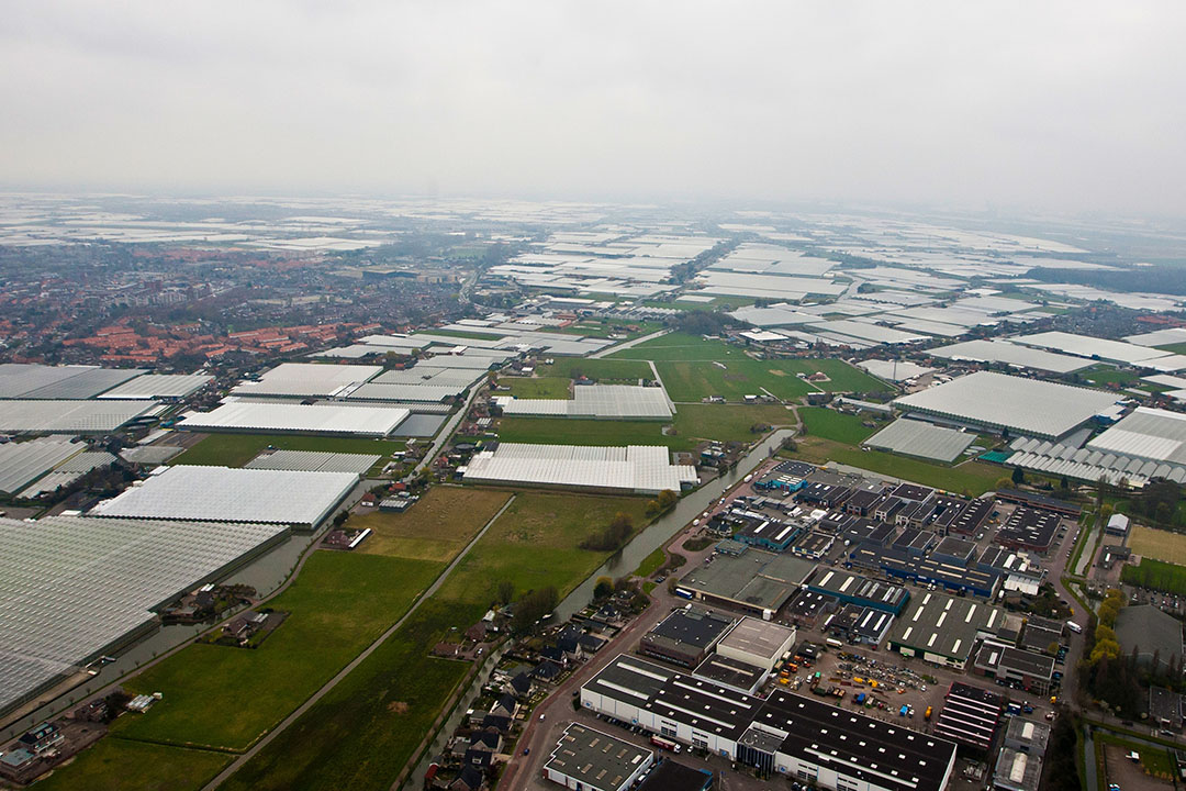 Westland wil zelf woonruimte voor arbeidsmigranten ontwikkelen. - Foto: Thierry Schut