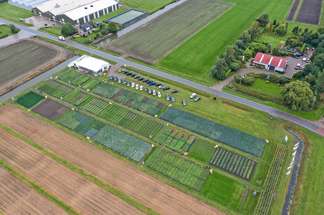 Luchtfoto van demoveld Sakata. - Foto: Pieter Prins