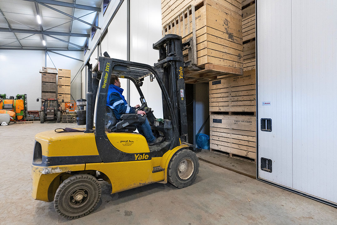 Akkerbouwer Gert Jan van Tilburg zet kisten peen terug in de koeling. Hij heeft een monster laten spoelen. Waar hij normaal 650 kilo uit een kist zou spoelen, is dat nu zo'n 600 kilo. "Plekken die aangevreten waren, hebben we achtergelaten op het land. Tja, mooi is anders, maar wat moet je dan?" - Foto: Ruud Ploeg