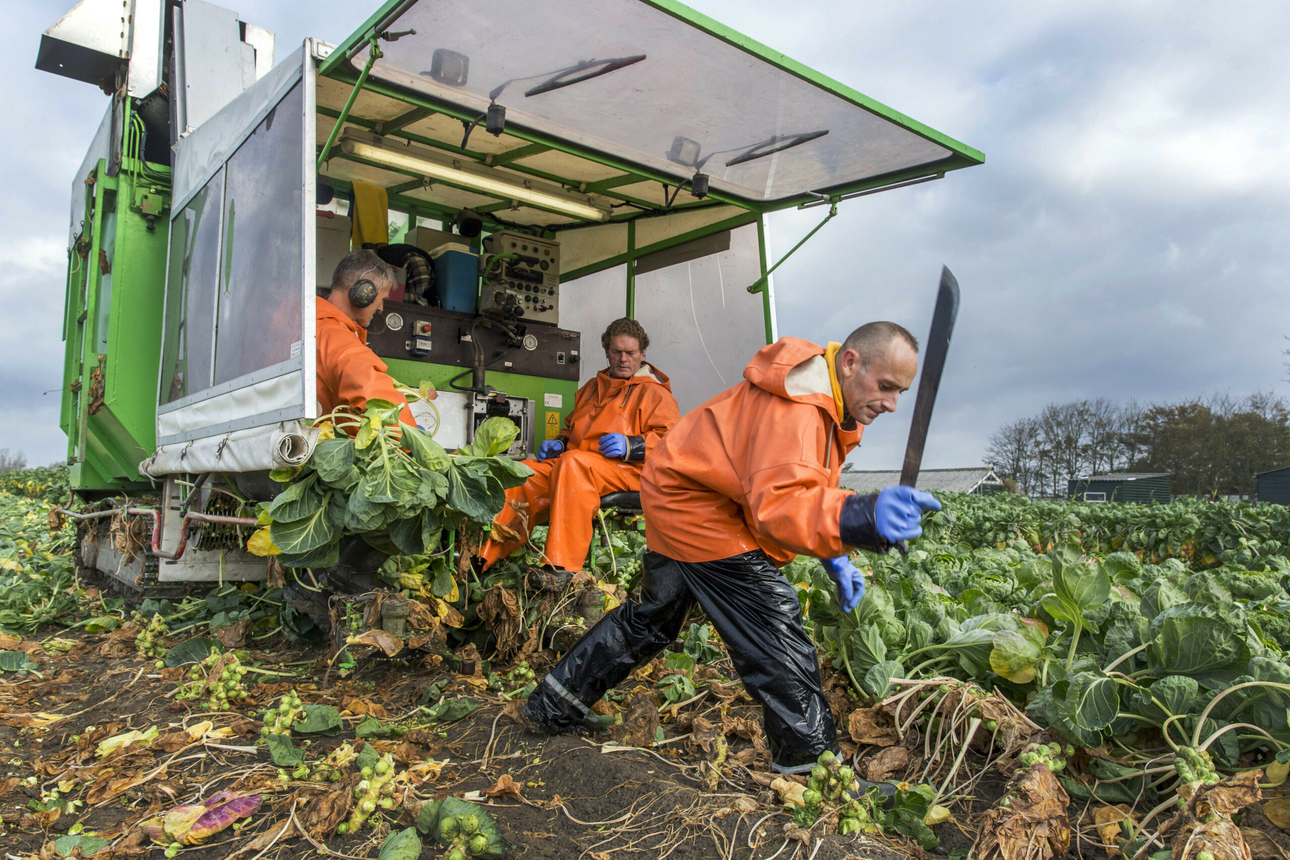 Foto: Roel Dijkstra