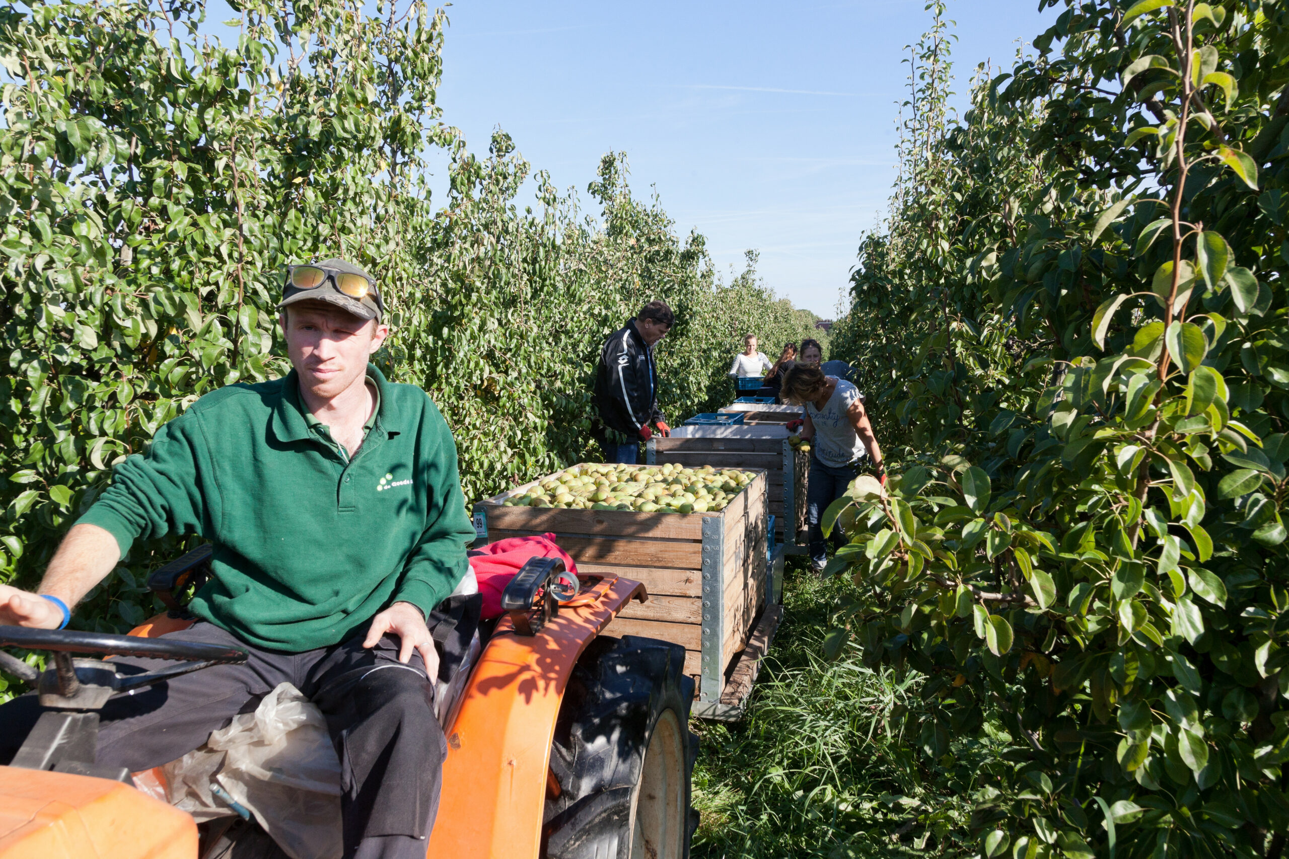 Kentekenplicht geldt niet voor bestaande fruittreintjes. - Foto: Joris Telders