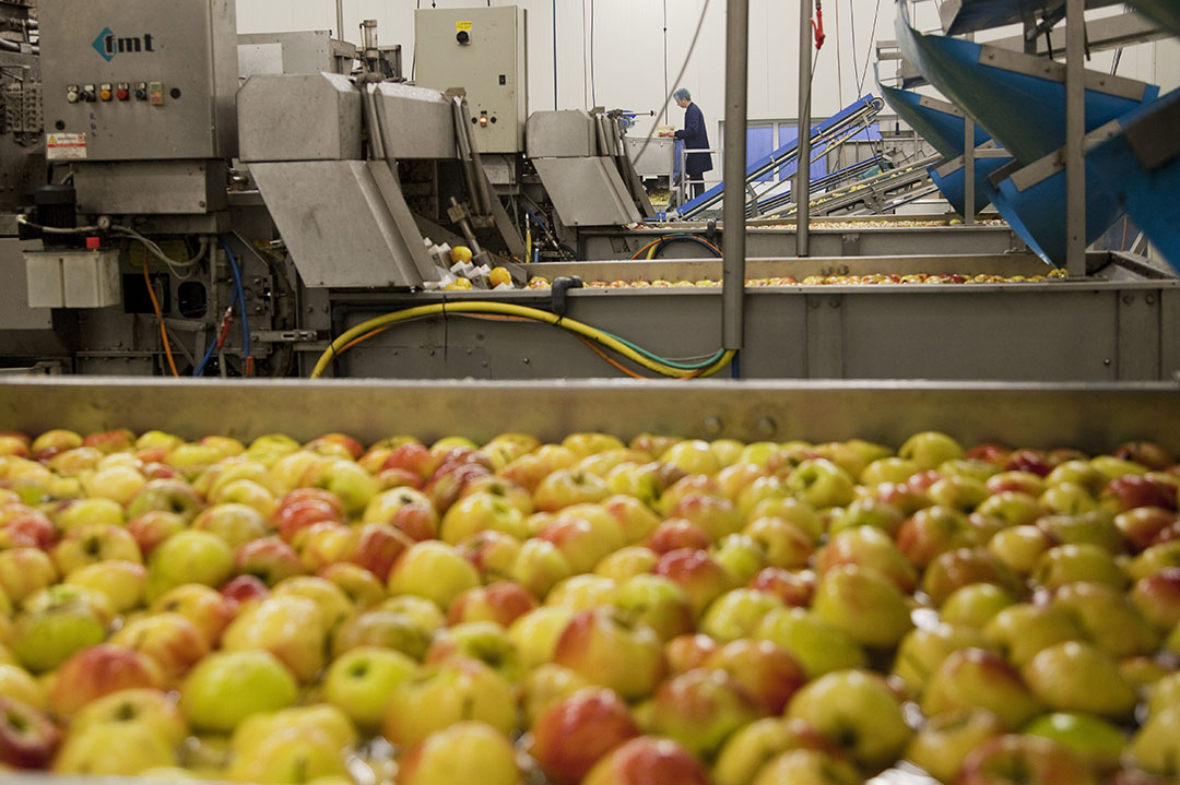 Hardfruit droeg bij aan evenaring omzetrecord BelOrta