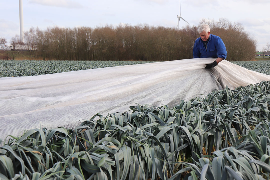 De maand februari in beeld