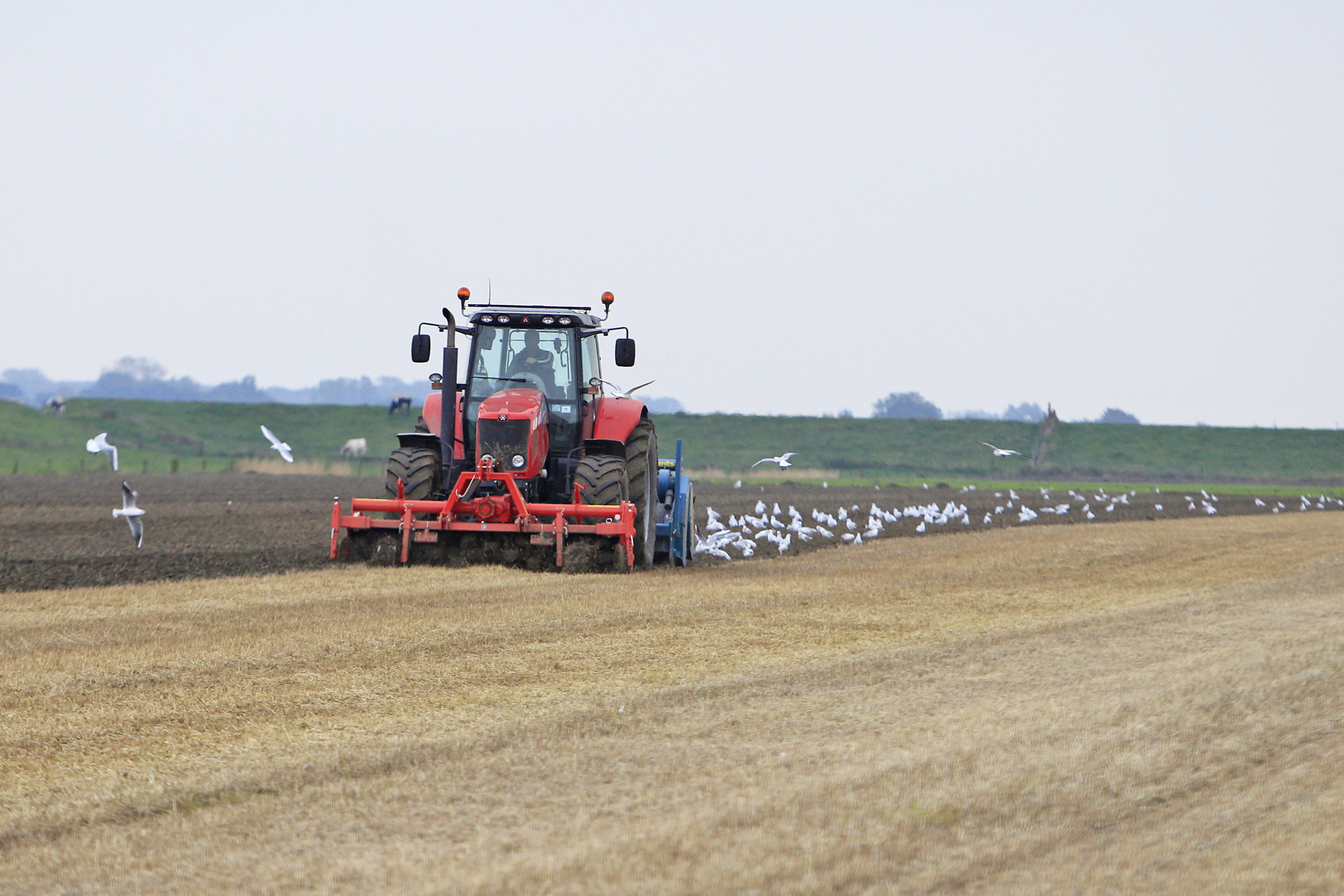 Foto: Koos van der Spek