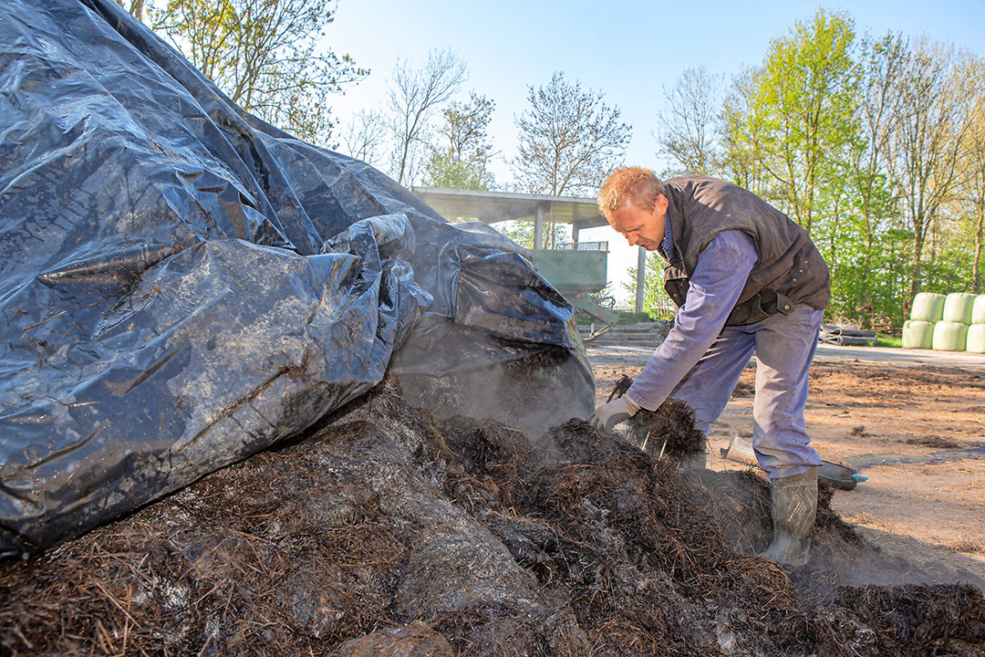 Ingekuilde bokashi. Een hoge zuurgraad maakt onkruidzaden gevoelig voor afbraak door micro-organismen. - Foto: Peter Roek