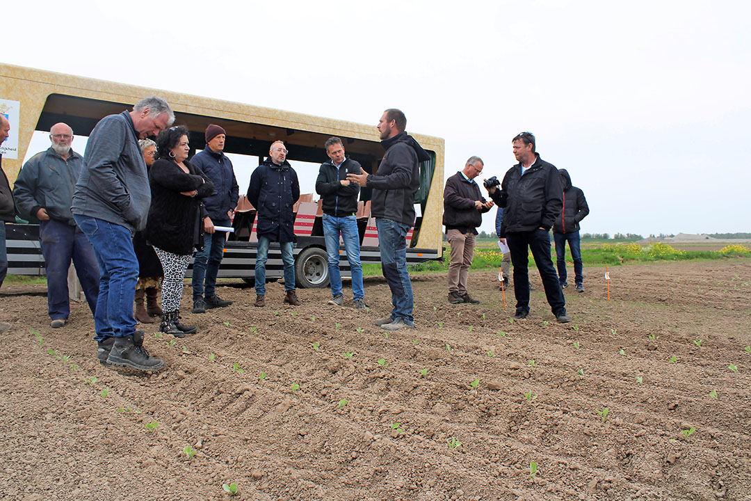 Kasper Kleijwegt legt Caroline van der Plas (BBB) uit hoe de jonge spruitenplantjes  lijden onder talrijke plagen. - Foto: Ton van der Scheer