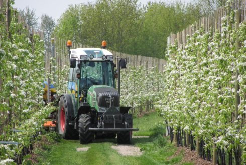 Fruittelers lopen EU-steun mis