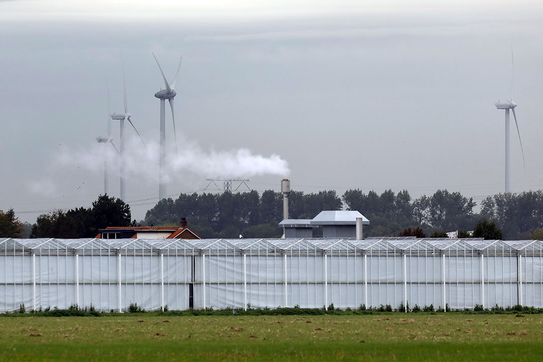 Windmolens en kassen bij Brielle. - Foto: Roel Dijkstra