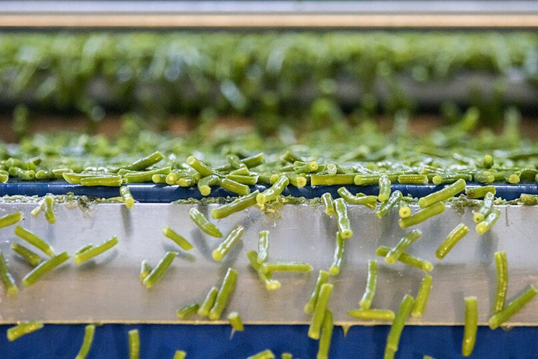 Verwerkingslijn van de fabriek van HAK in Diessen. - Foto ANP