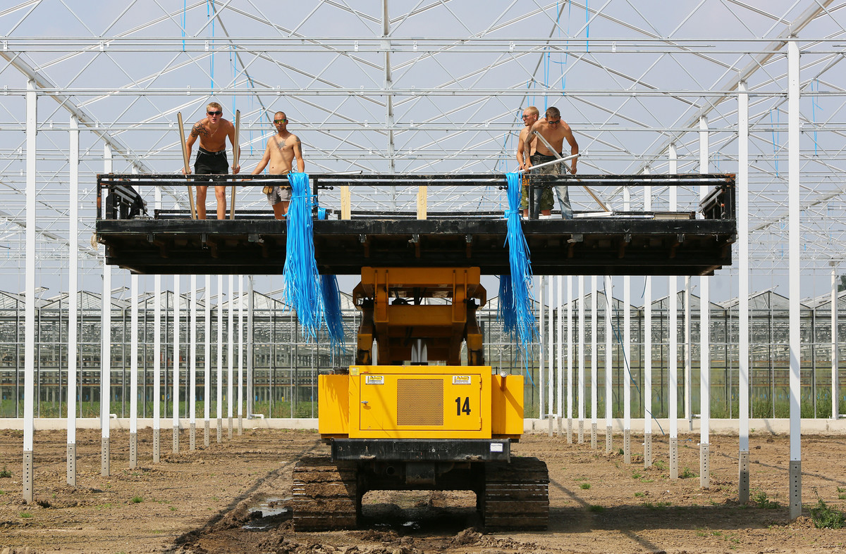 Neveneffecten grote kassen in Gelderland