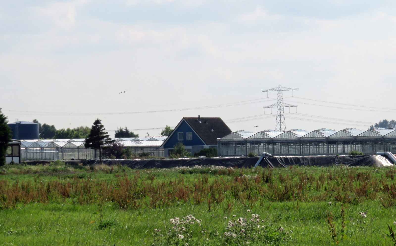 Schade &apos;komkommerzaak&apos; The Greenery in beeld