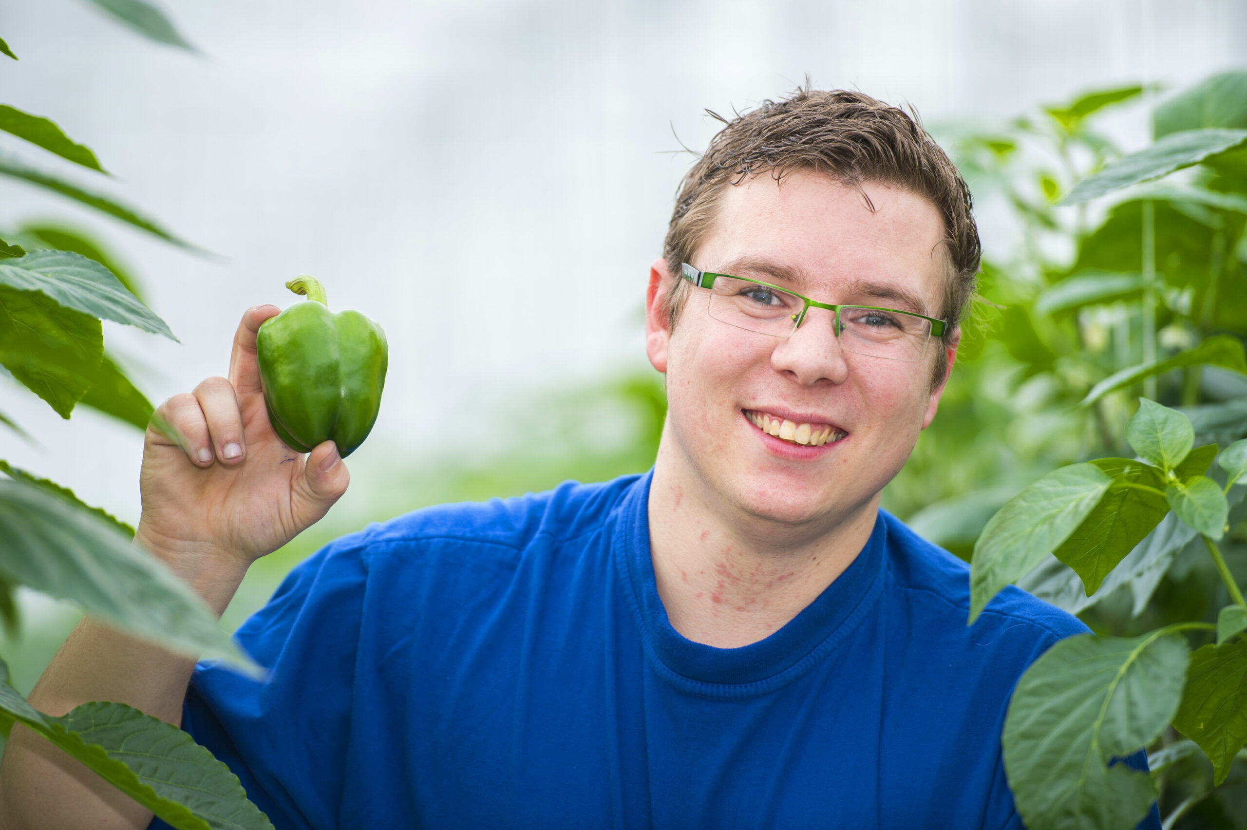 Jonge tuinders kunnen met een steuntje in de rug van Brussel en de provincie investeren in hun bedrijf. - Foto: Michel Oehlen Fotografie