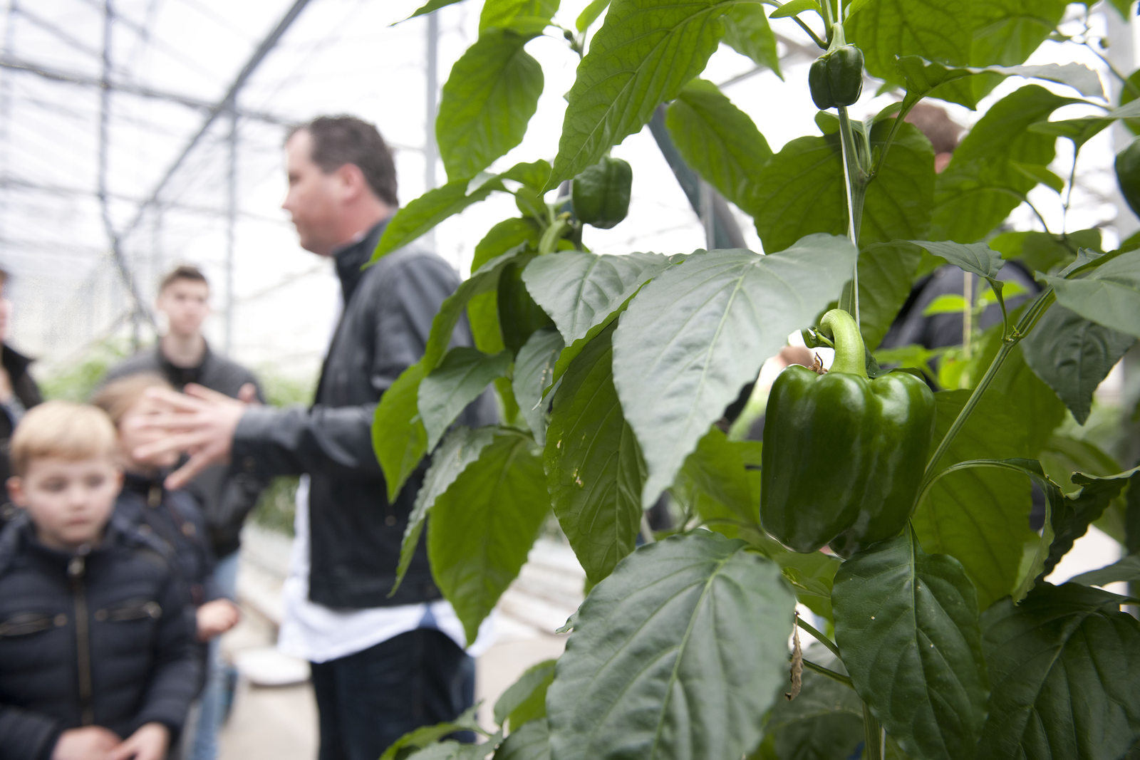 De AH Boeren Lentefeesten afgelopen weekeinde bij Hartman Sexbierum.</p> <p>foto: Mark Pasveer