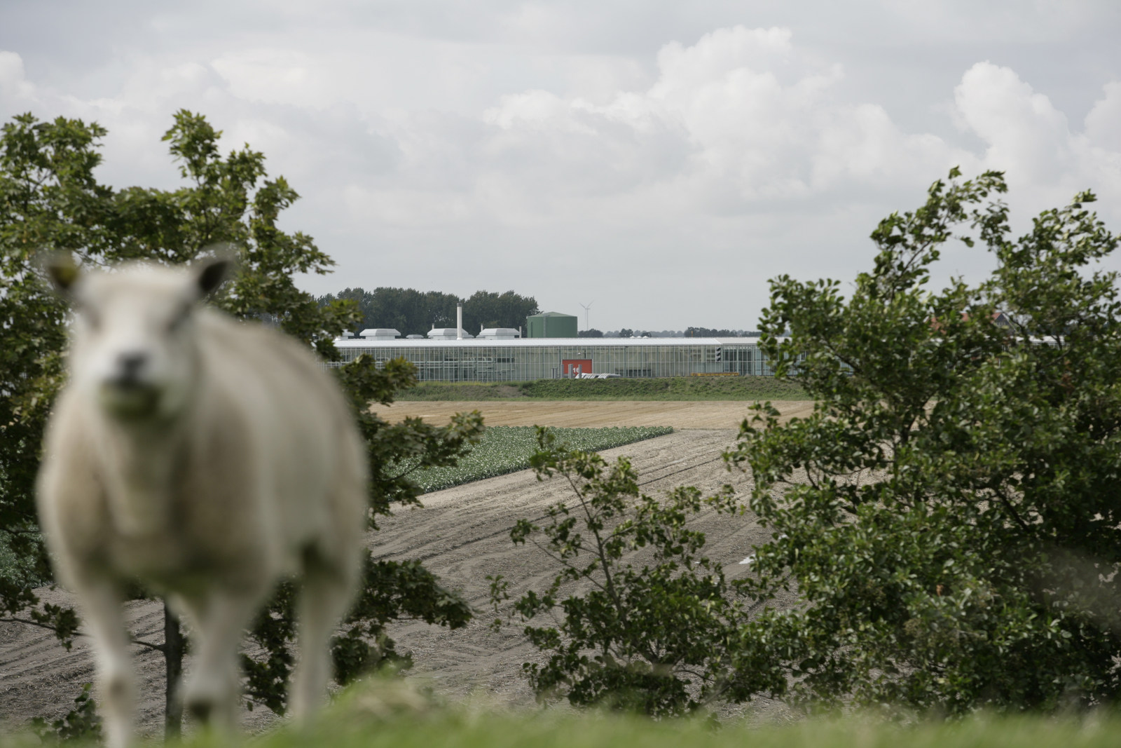 uitzicht op Agriport A7