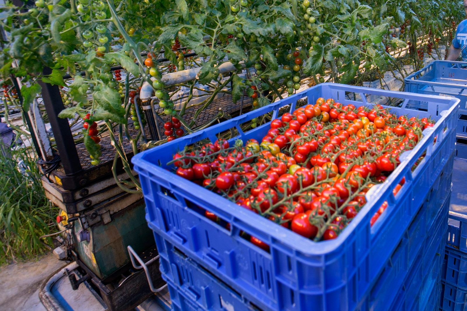 KCB: goede buitenlandse handel