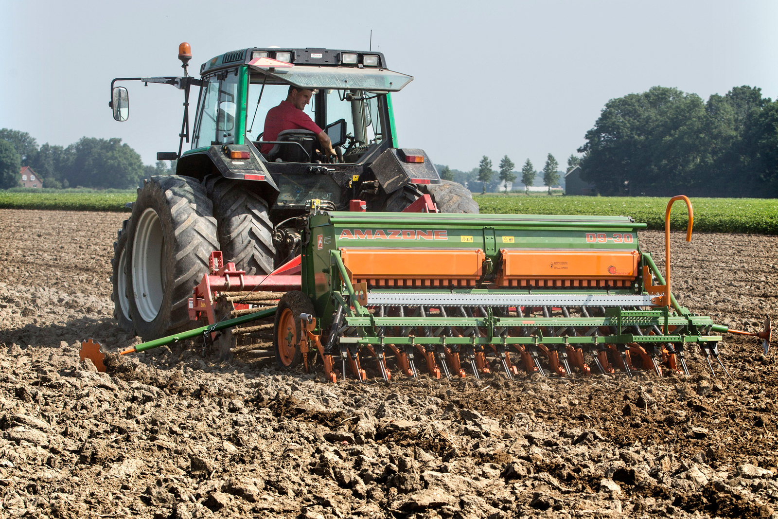 Na misoogst komt groenbemester of gras in beeld - Foto: Koos Groenewold