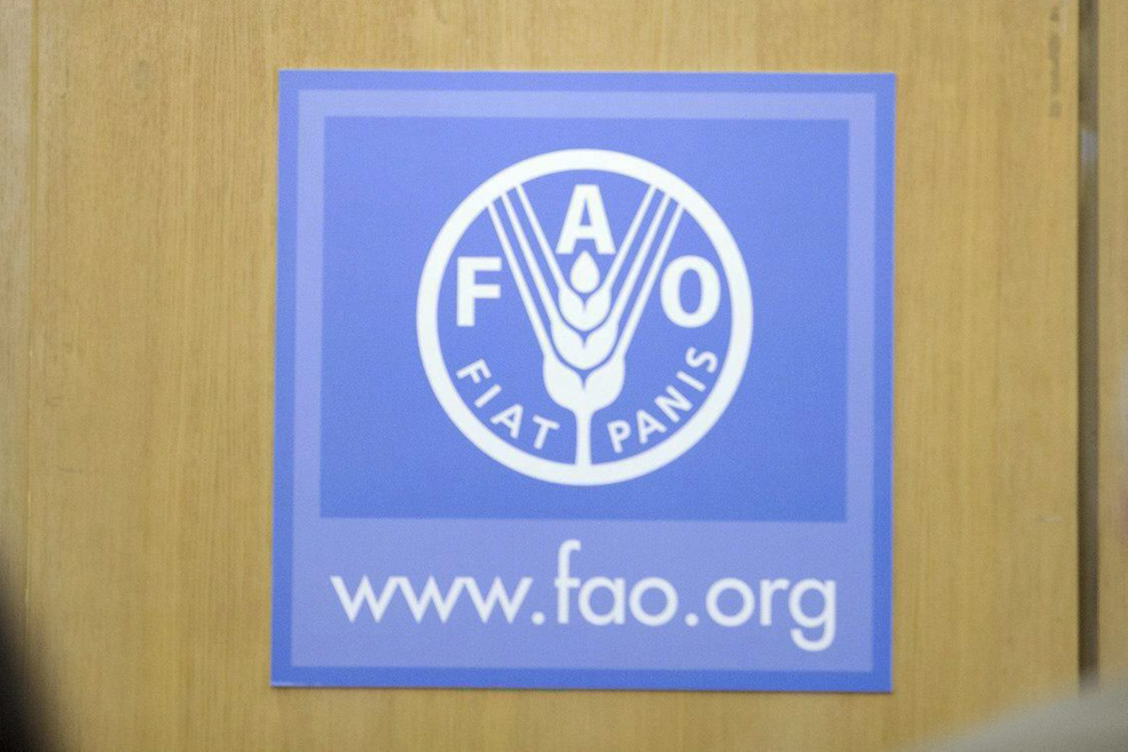 FAO: landbouw heeft dubbele taak bij klimaatverandering - Foto: EPA