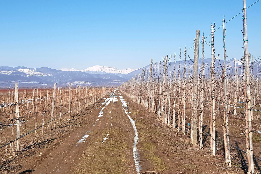 Foto: Frank Zeinstra en Ton Duffhues (Agriterra)