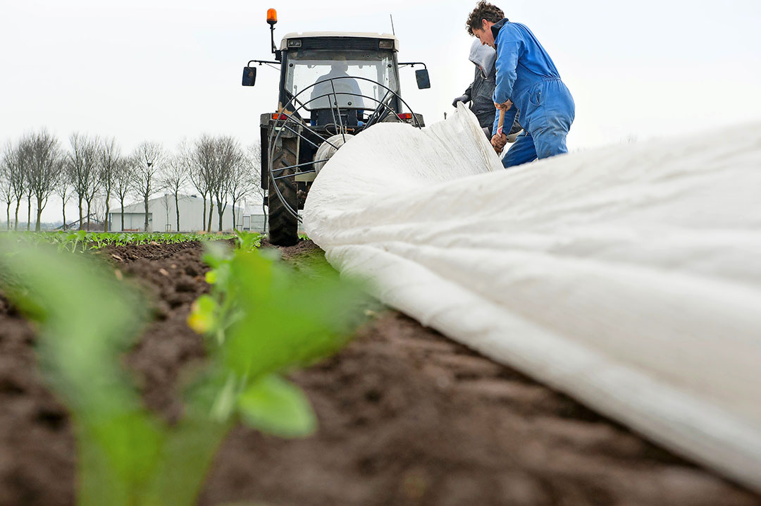 Foto: Fotostudio Wick Natzijl