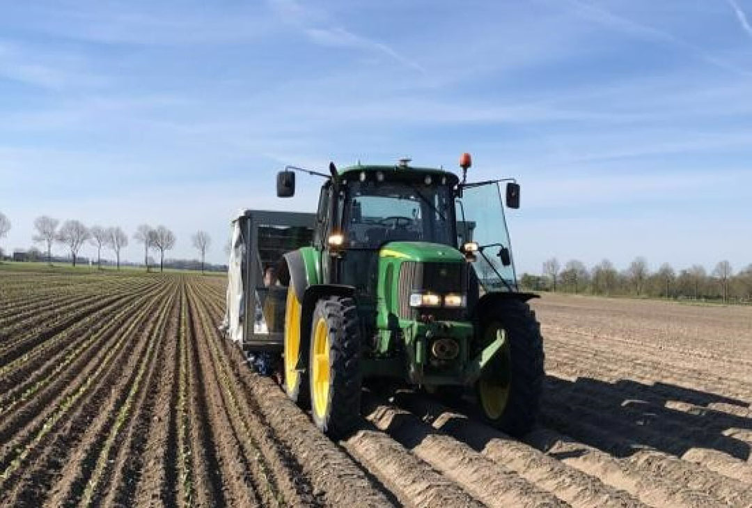 Planten van broccoli bij Holwerda in Lioessens. - Foto: The Greenery