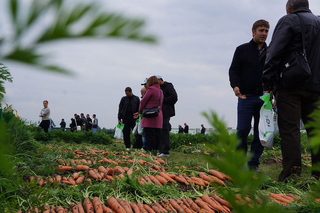 Zaadbedrijf liever met ondernemingsraad om tafel