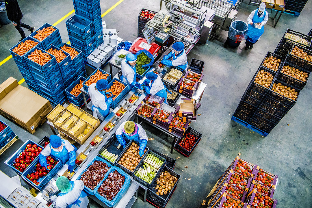 Logistieke ketens in de tuinbouw zijn zeer precies ingericht. Met de kleinste hapering komen hele productieprocessen stil te liggen. - Foto: ANP