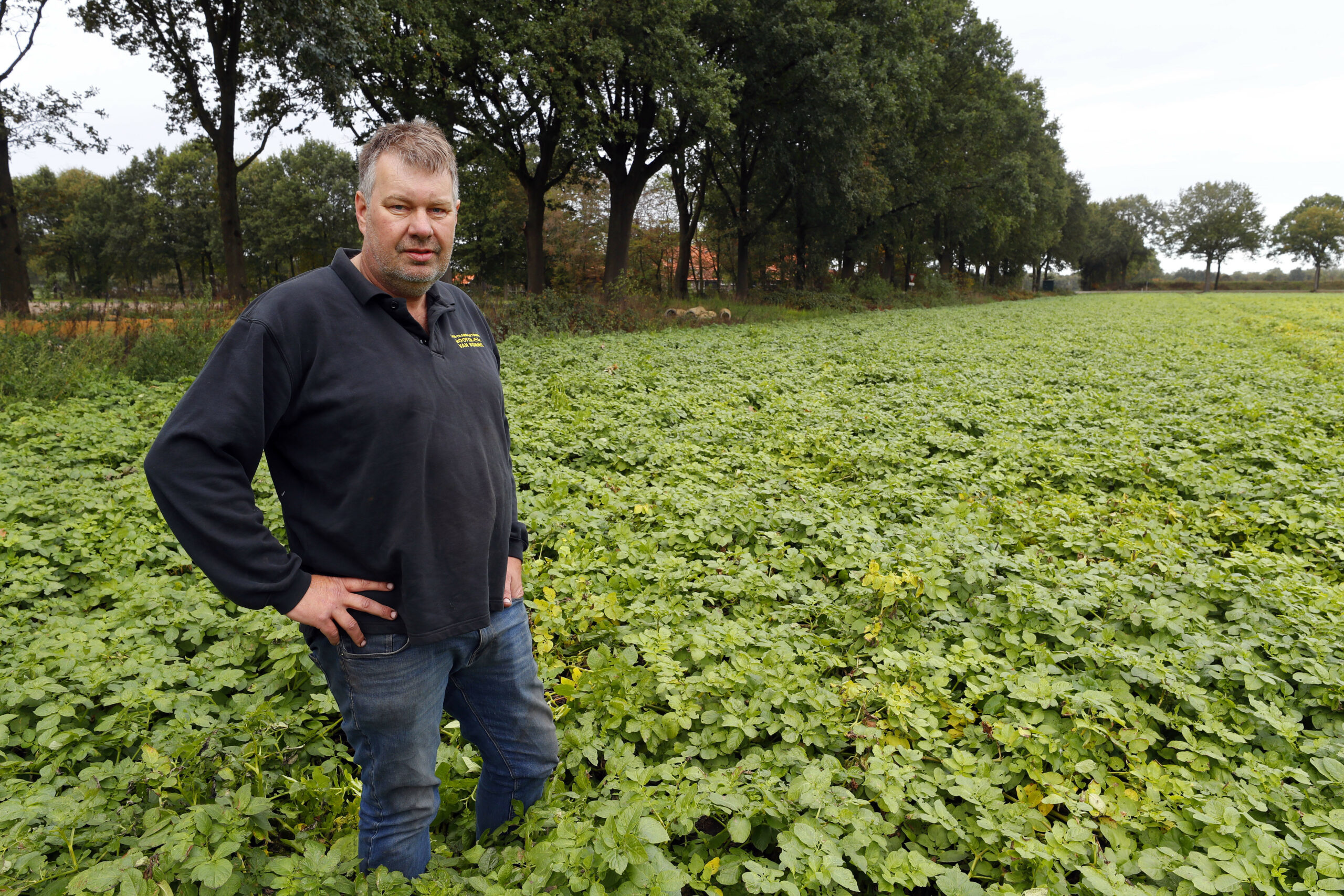 Veel kosten gemaakt om droogteschade te beperken