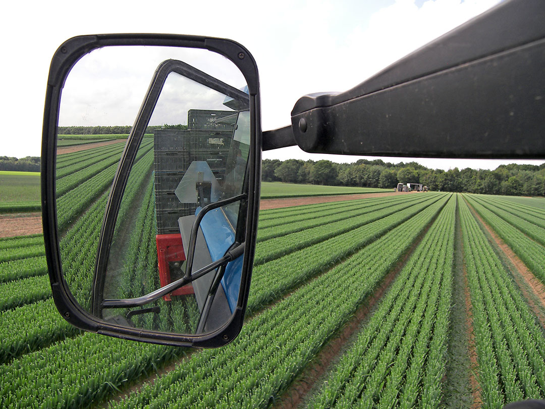 Archiefbeeld teelt. De opgevoerde kosten in programma's voor subsidieprogramma GMO zijn niet voldoende gecontroleerd, stelt de Europese Commissie. - Foto: Stan Verstegen