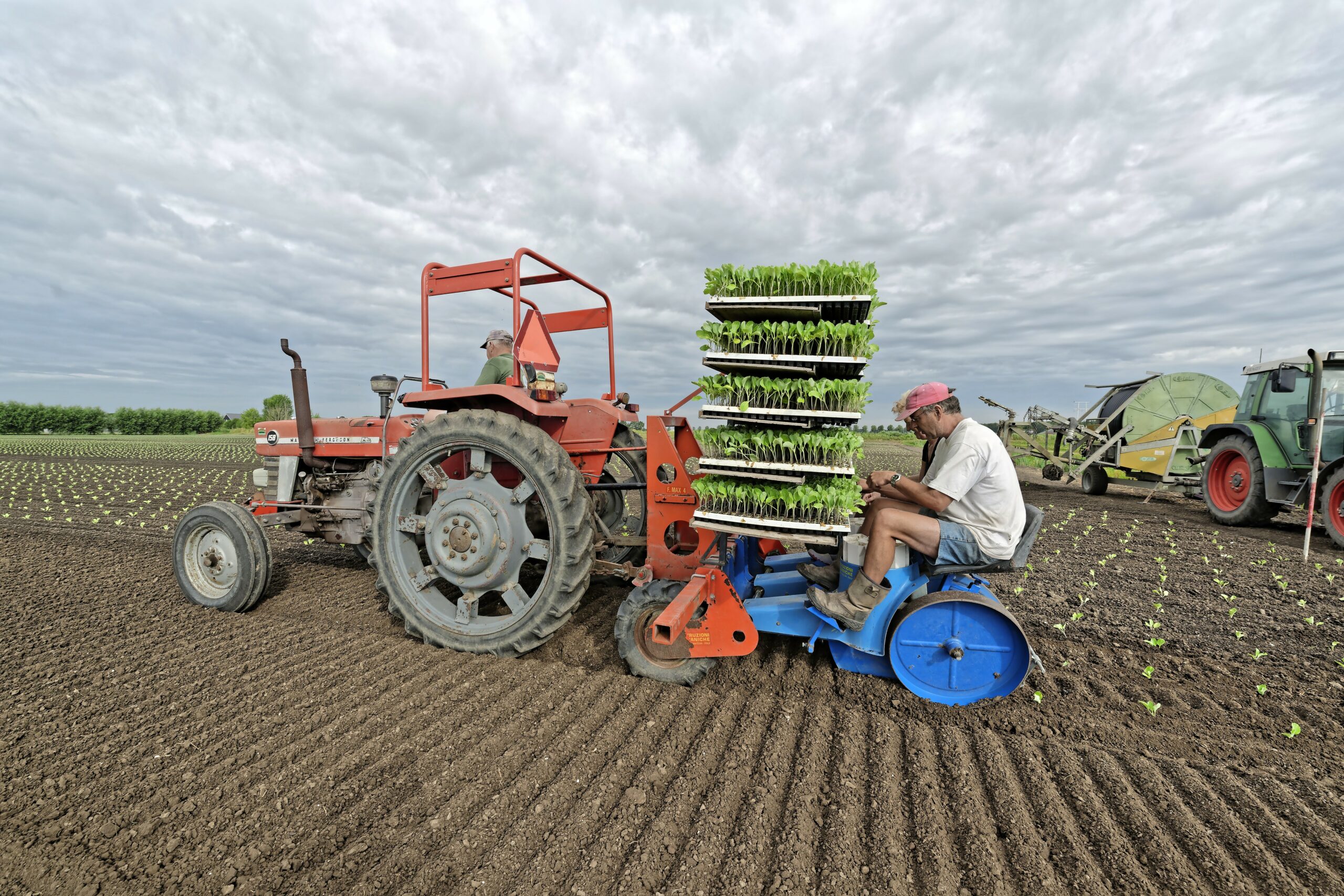 Roel Bakker: "Die 3-rijige plantmachine waarmee we spitkool planten is een oud beestje, maar voor dit werk nog prima geschikt. Het duurt wel wat langer.' - Foto: Lex Salverda