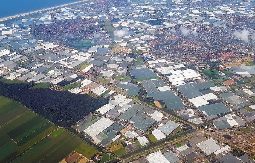 Luchtfoto van delen van het Westland in 2016. Foto: Provincie Zuid-Holland