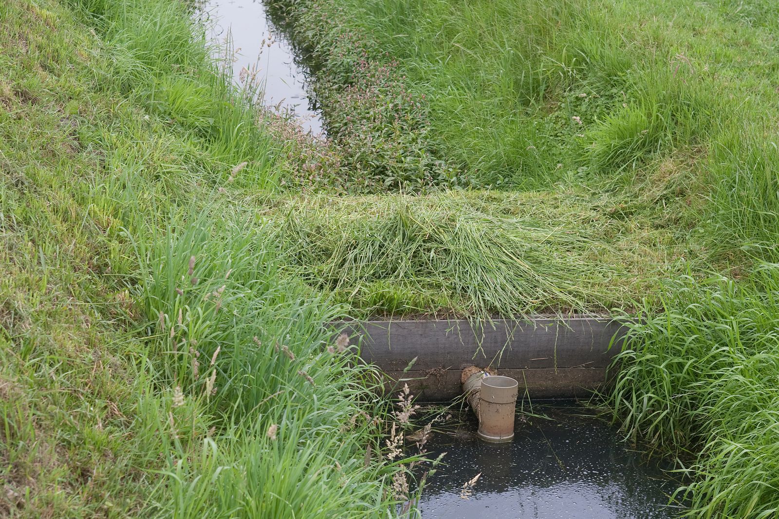 Imidacloprid zou het oppervlaktewater belasten, vooral in tuinbouwgebieden.</p> <p><em>Foto: Ronald Hissink</em>