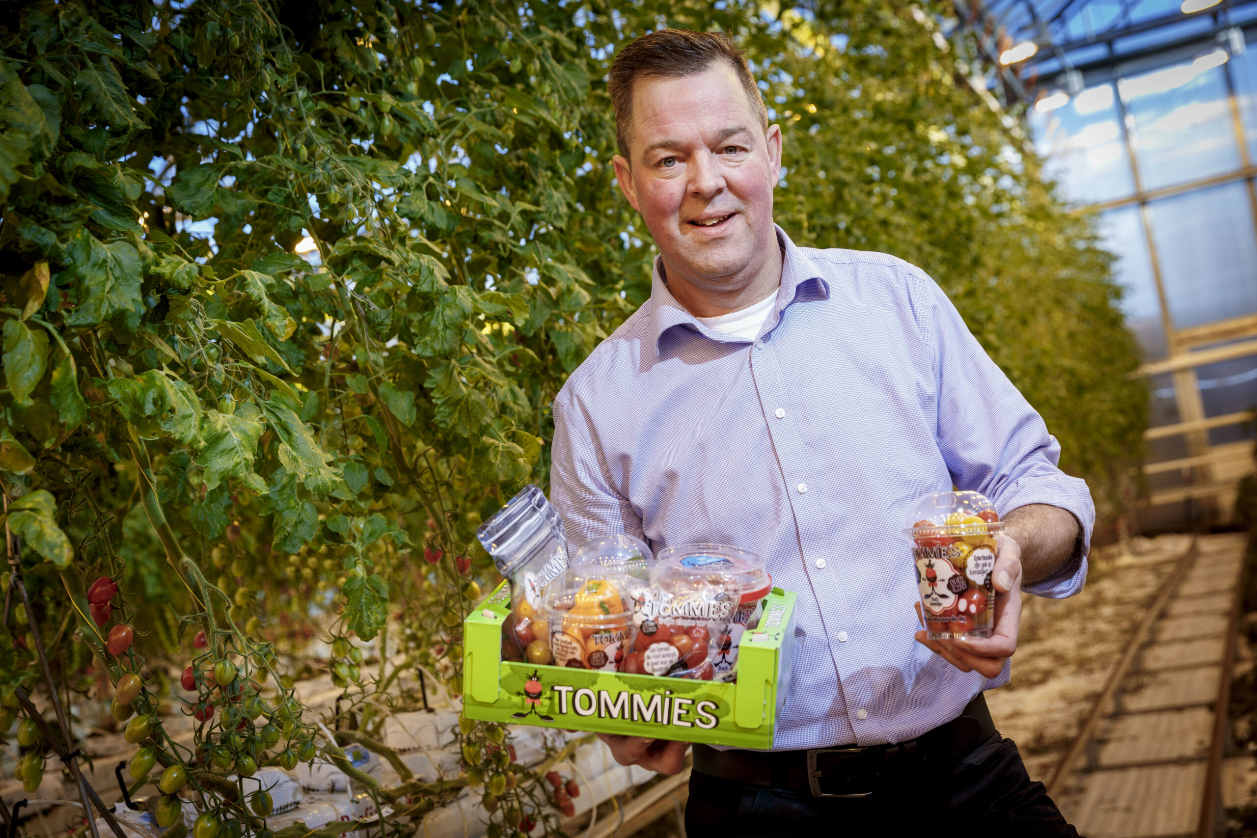 Jos van Mil runt samen met vijf anderen Greenco. De maatschap werd in 1997 opgericht. Jos van Mil en Ab van Marrewijk ontwikkelden in 2005 een kleine, zoete (pruim)tomaat: Tommies. Inmiddels is Greenco een internationale teler en verpakker van de lekkerste snackgroenten: snacktomaten, snackpaprika s en snackkomkommers. In 2011 werd Greenco door het publiek uitgeroepen tot Agrarisch Ondernemer van het Jaar.- Foto: Roel DIjkstra