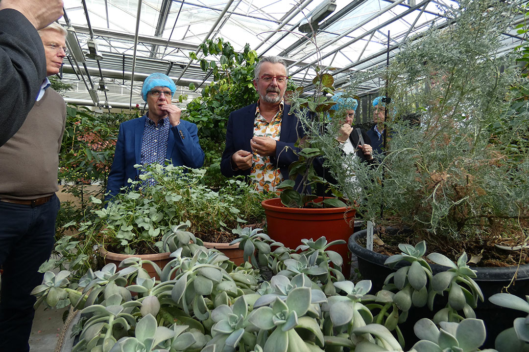 De jury op bezoek bij Rob Baan, ondernemer in de tuinbouw en eigenaar van Koppert Cress, een bedrijf in microgroenten. Baan werd in 2020 uitgeroepen tot Agrarisch Ondernemer van het jaar. - Foto: Misset