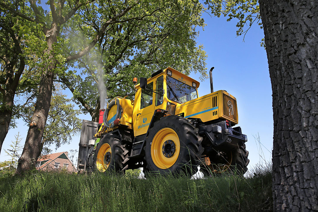 Bestrijding van eikenprocessierups, dit gebeurt onder meer met knoflookextract. - Foto: Hans Prinsen