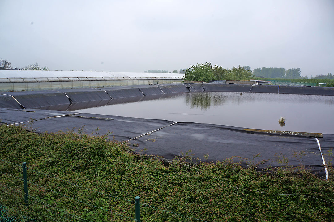 Archiefbeeld van waterbassin kassen. - Foto: Joost Stallen.